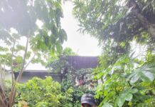 Policía salva a dos perritos de morir ahogados en El Progreso, Yoro