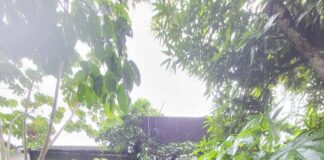 Policía salva a dos perritos de morir ahogados en El Progreso, Yoro