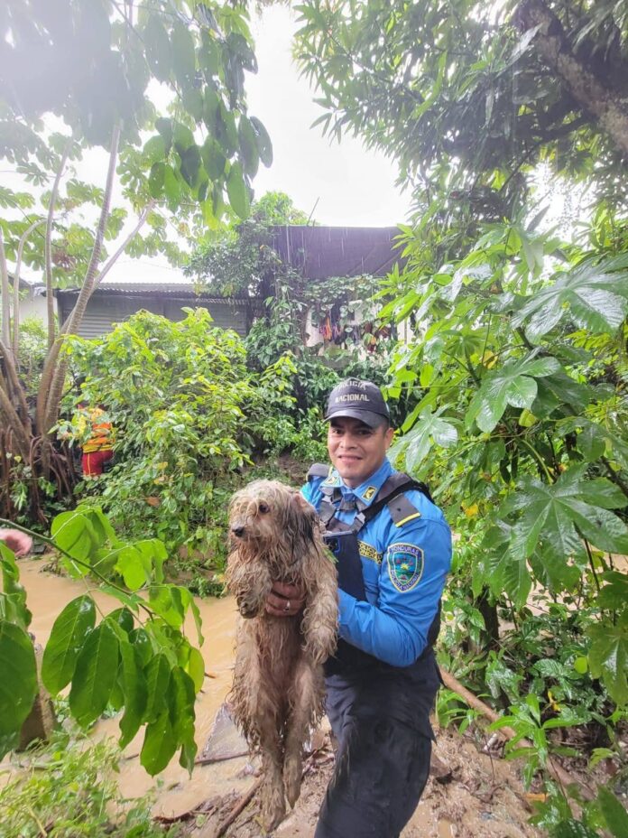 583121518_1165306345792340_8323038156525719523_n