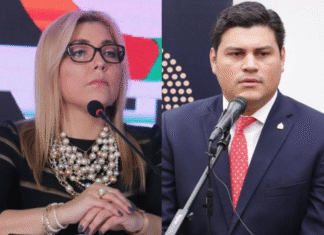 Marlon Ochoa pide a Ana Paola Hall que informe a las FFAA sobre retiro de empresa de transporte para buscar alternativas