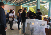 EEUU, Argentina, Ecuador y Paraguay piden a la OEA una sesión sobre elecciones de Honduras