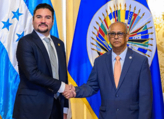 OEA exige a Honduras elecciones sin interferencias estatales tras reunión con el canciller Bú