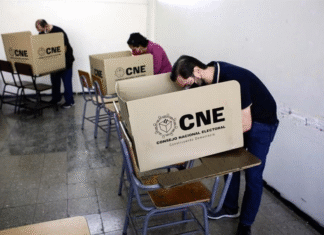 ENEE garantiza suministro eléctrico estable para las elecciones generales