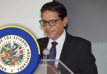 Presidente del TJE alerta a la OEA sobre asedio institucional y exige reunión con autoridades electorales