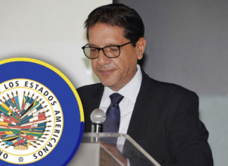 Presidente del TJE alerta a la OEA sobre asedio institucional y exige reunión con autoridades electorales