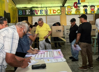 CNE reporta más de 1 millón de votantes registrados y destaca alta participación
