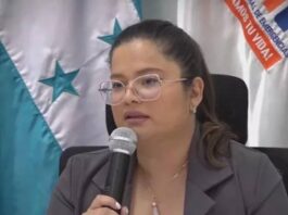 Comisionada del 911 advierte que el Gobierno pedirá la nulidad del proceso electoral