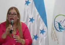 Conadeh pide al Estado hondureño acciones urgentes para proteger a periodistas