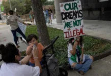 EEUU deporta a 86 inmigrantes amparados por DACA, admite el Gobierno de Trump