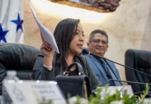 Vicepresidenta del Congreso Nacional, Lissi Cano, exige transparencia ante aprobación de la emergencia vial