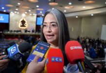 Gabriela Castellanos: “Lo insoportable no solo es la violencia, sino que se volvió rutina”