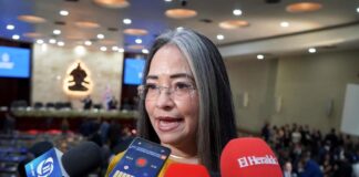 Gabriela Castellanos: “Lo insoportable no solo es la violencia, sino que se volvió rutina”