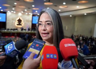 Gabriela Castellanos: “Lo insoportable no solo es la violencia, sino que se volvió rutina”