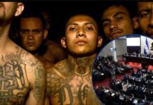 Congreso impulsa reformas para declarar terroristas a grupos criminales en Honduras