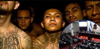 Congreso impulsa reformas para declarar terroristas a grupos criminales en Honduras