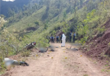 Última masacre en Yoro estaría ligada a la muerte de “El Mencho”, según Leandro Osorio