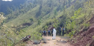 Última masacre en Yoro estaría ligada a la muerte de “El Mencho”, según Leandro Osorio