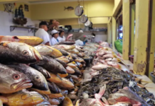 Aumentan precios de mariscos hasta 10 lempiras previo a Semana Santa en Honduras