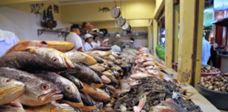 Aumentan precios de mariscos hasta 10 lempiras previo a Semana Santa en Honduras