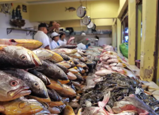 Aumentan precios de mariscos hasta 10 lempiras previo a Semana Santa en Honduras