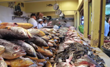 Aumentan precios de mariscos hasta 10 lempiras previo a Semana Santa en Honduras