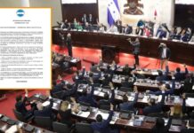 Defensores de Honduras lanza llamado urgente al Congreso para activar juicio político y defender el orden constitucional