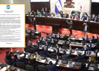Defensores de Honduras lanza llamado urgente al Congreso para activar juicio político y defender el orden constitucional