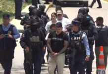 Golpe a la criminalidad: capturan a cinco presuntos miembros de la banda “El Chele” en El Paraíso