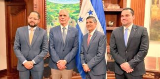 Consejo de Defensa y Seguridad aborda reformas al Código Penal para endurecer lucha contra el crimen