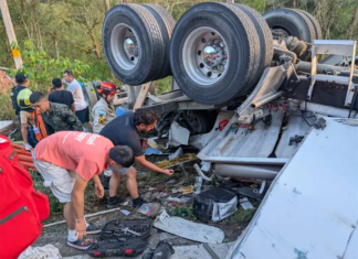 Conductor de rastra en tragedia de Quimistán no tenía licencia pesada, confirma la DNVT