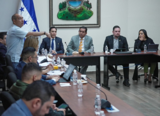 El Congreso Nacional inicia audiencias públicas para seleccionar a los “mejores 18” aspirantes al CNE y TJE