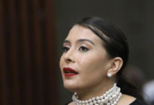 Diputada Iroshka Elvir pide juicio político contra todo el pleno del CNE y TJE