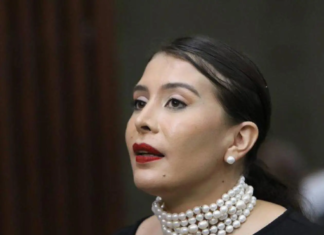 Diputada Iroska Elvir anuncia voto en contra de juicio político contra Marlon Ochoa