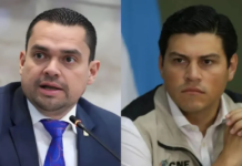 Audiencia de juicio político se realizará con o sin Marlon Ochoa, asegura Tomás Zambrano