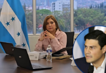 “Nunca más un líder de partido dando instrucciones a un consejero”: Ana Paola Hall arremete contra Ochoa