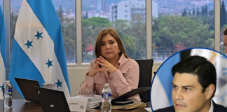“Nunca más un líder de partido dando instrucciones a un consejero”: Ana Paola Hall arremete contra Ochoa