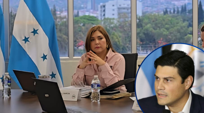 “Nunca más un líder de partido dando instrucciones a un consejero”: Ana Paola Hall arremete contra Ochoa