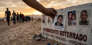 “Sufrimiento soterrado”: más de 600 hondureños permanecen desaparecidos en la ruta migratoria