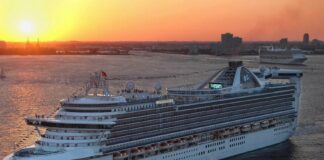 Más de 100 personas enferman por brote de norovirus en crucero que salió de Florida