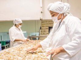 Camaroneros alertan sobre una crisis por calor extremo y aumento de salinidad en fincas acuícolas