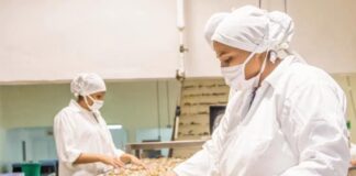 Camaroneros alertan sobre una crisis por calor extremo y aumento de salinidad en fincas acuícolas
