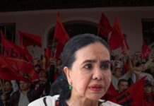 Luz Ernestina Mejía afirma que Libre “perdió el derecho” a tener representantes en organismos electorales