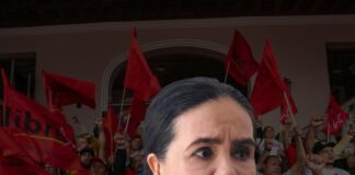 Luz Ernestina Mejía afirma que Libre “perdió el derecho” a tener representantes en organismos electorales