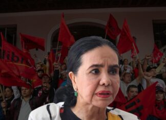 Luz Ernestina Mejía afirma que Libre “perdió el derecho” a tener representantes en organismos electorales
