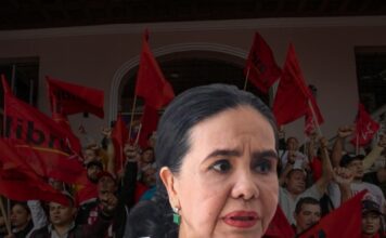 Luz Ernestina Mejía afirma que Libre “perdió el derecho” a tener representantes en organismos electorales