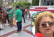 “Quieren criminalizar la lucha”: Alianza Campesina presenta recurso de inconstitucionalidad contra reformas al Código Penal