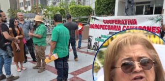 “Quieren criminalizar la lucha”: Alianza Campesina presenta recurso de inconstitucionalidad contra reformas al Código Penal