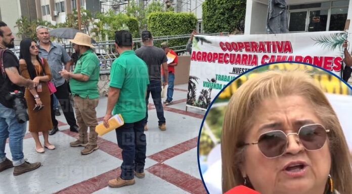 “Quieren criminalizar la lucha”: Alianza Campesina presenta recurso de inconstitucionalidad contra reformas al Código Penal