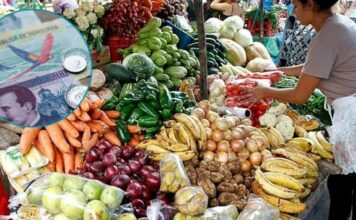 Productos de la canasta básica registran nuevos aumentos de precio en el país