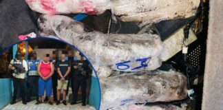 Capturan a presuntos miembros de estructura criminal con droga y más de L120 mil ocultos en vehículo en Valle